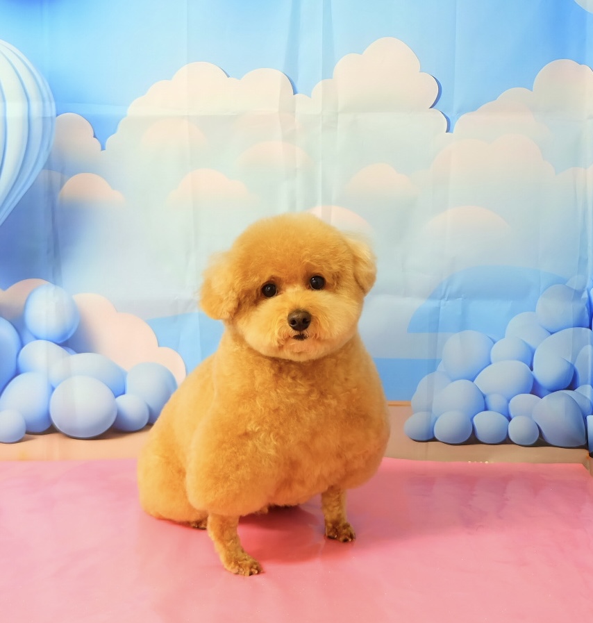 エポちゃん