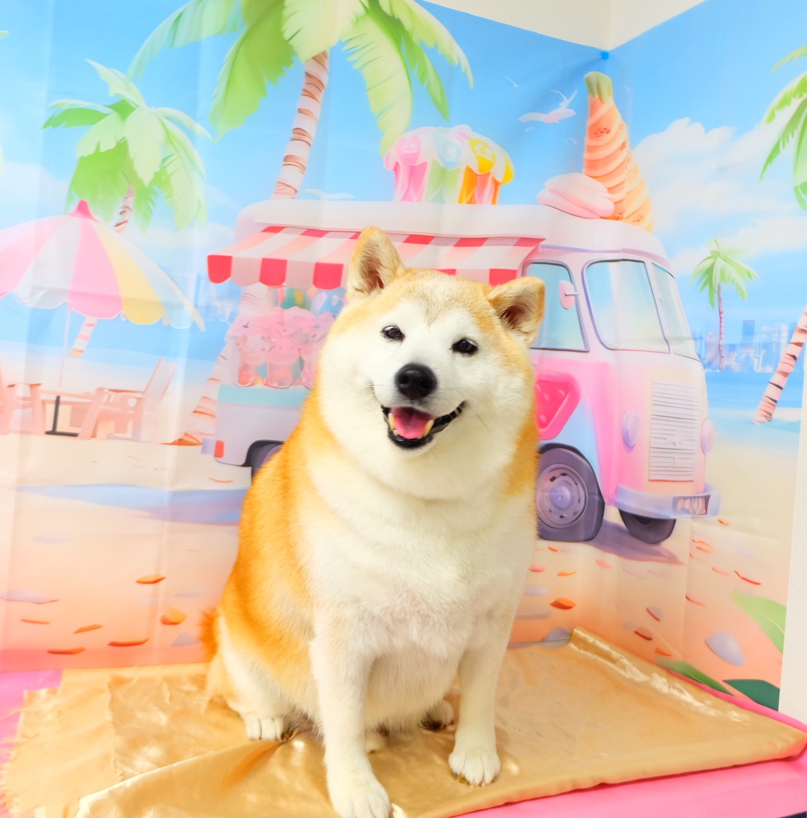 麦くん