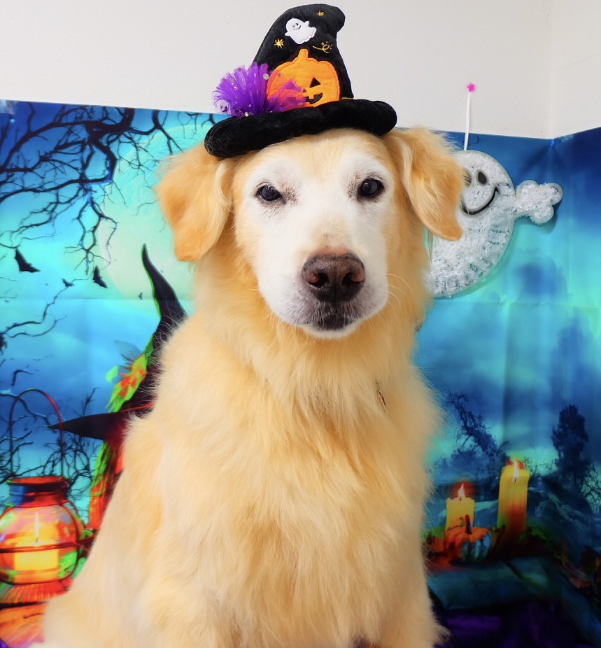 クロケットくん