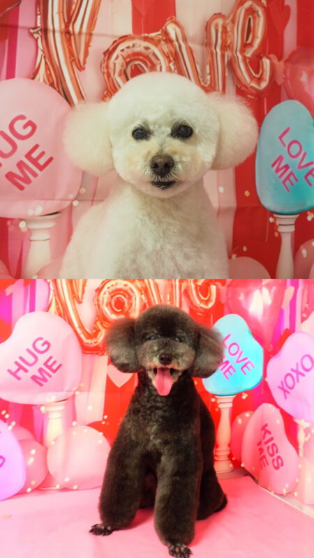 ウィルくん&ロックくん