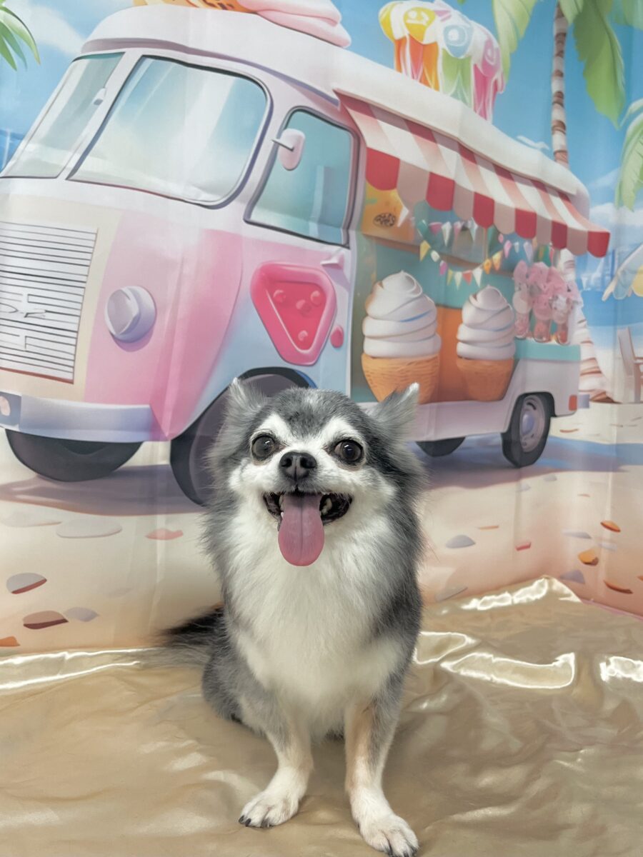 風汰くん