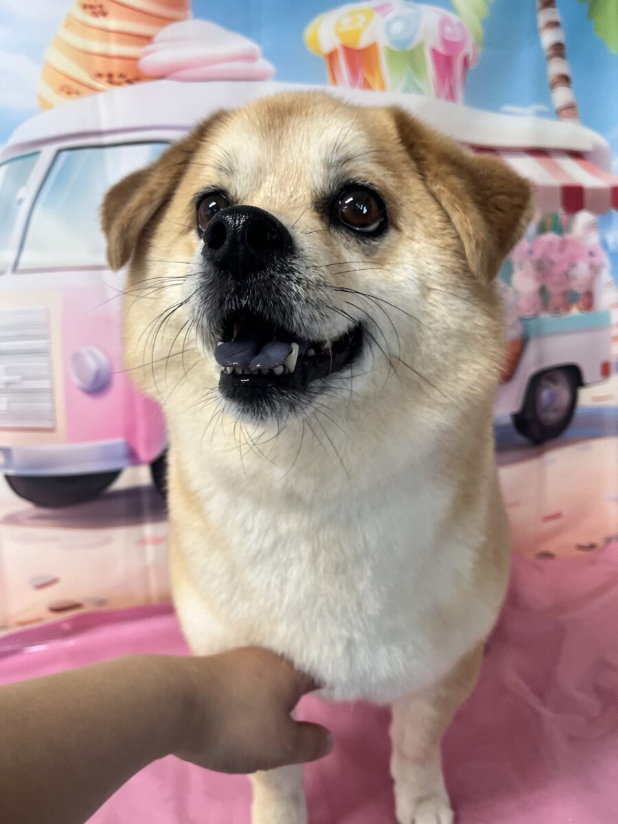 ふうたくん