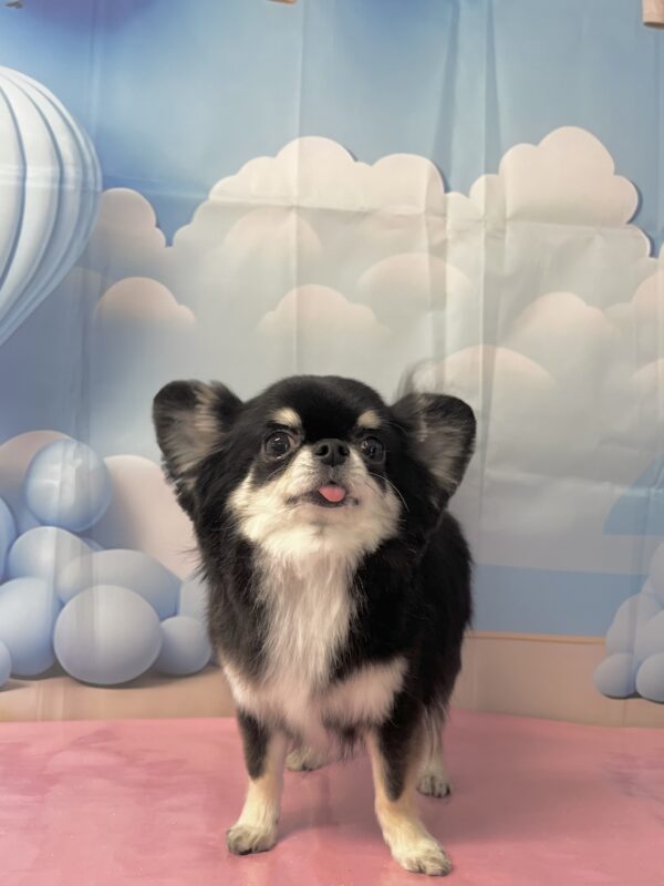 ひなたくん